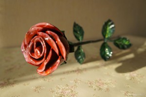 Цветы (10)