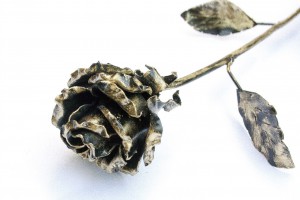 Цветы (11)
